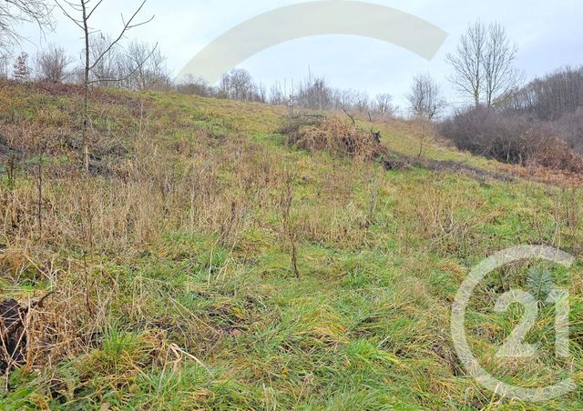 Terrain à vendre - 1155 m2 - Meyrieu Les Etangs - 38 - RHONE-ALPES