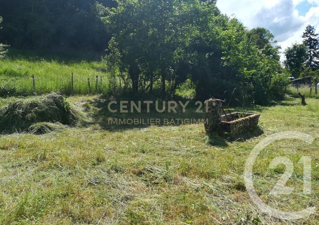 terrain - CHATONNAY - 38